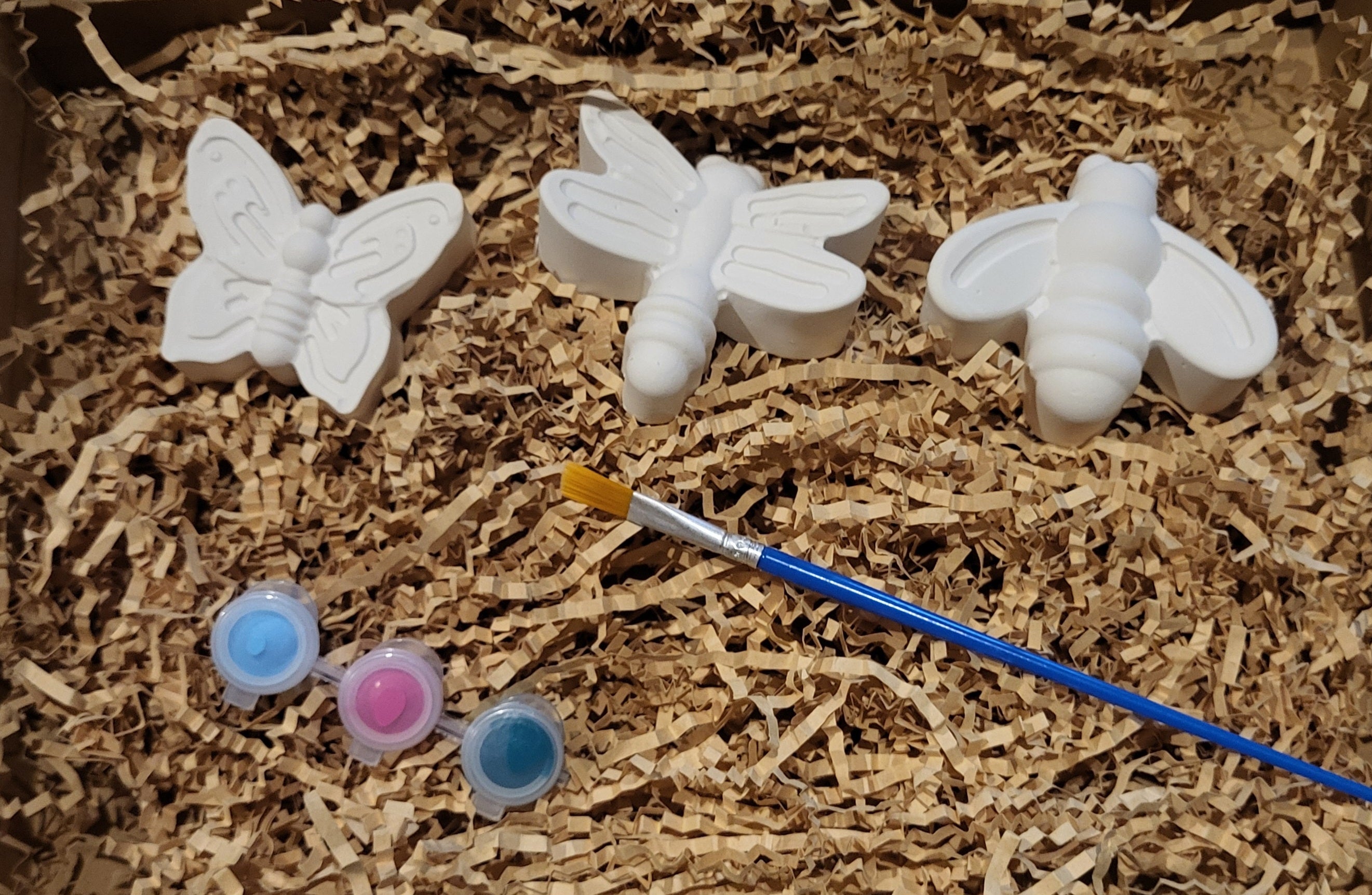 Kit figurines Insectes à peindre